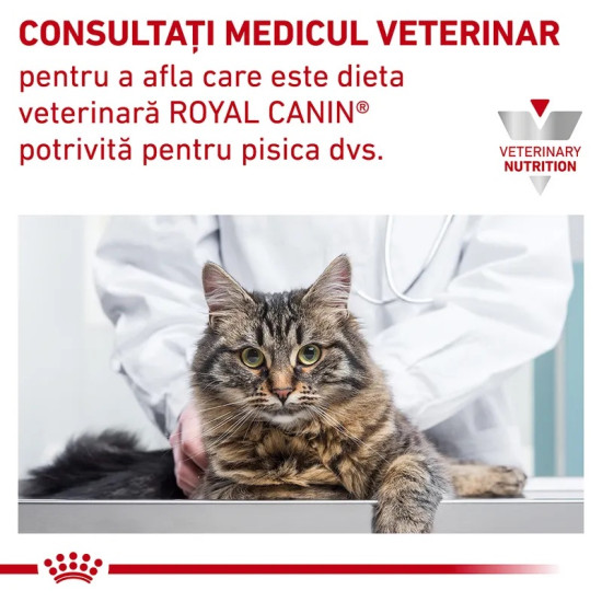 Royal Canin Veterinary Feline Urinary S/O – Hrană Uscată pentru Pisici cu Afecțiuni Urinare, 400 g